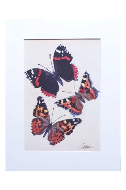 Scarlet Butterflies Print
