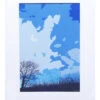Winter Blue Sky Print
