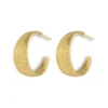Aavani Earrings – Gold