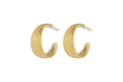 Aavani Earrings – Gold