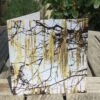 Catkins Greetings Card