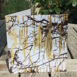 Catkins Greetings Card