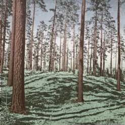 Försvunnen Limited Edition Screen Print