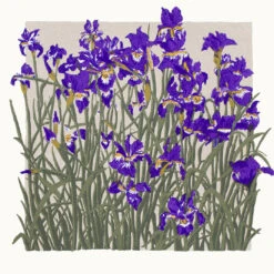 Iris Screenprint