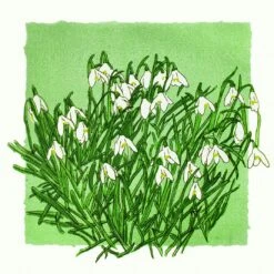 Snowdrop Screenprint