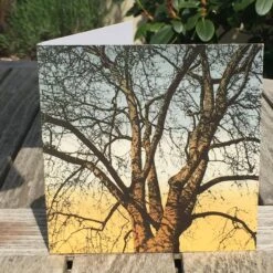 Swiftly Flow The Days Greetings Card