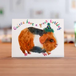 Guinea Have A Great Birthday -Household Decoration Shop BirthdayGuineaPig card A6 landscape Rosie Webb2