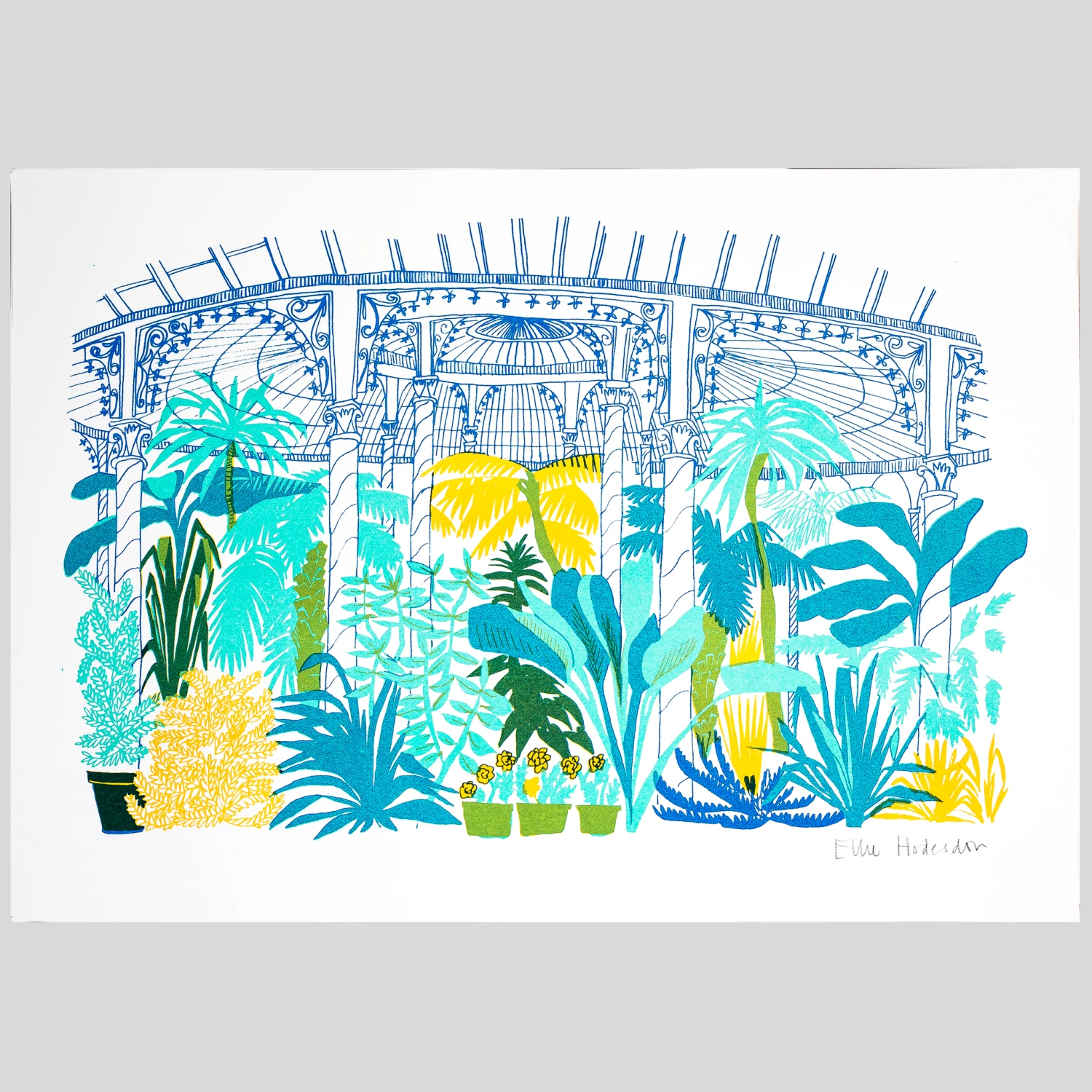 Botanic Garden Risograph A3 Art Print 1 Botanic Garden Risograph A3 Art Print