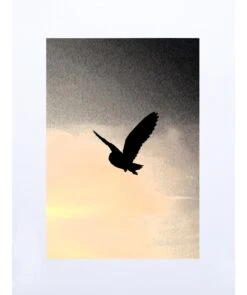 Toulouse Night Sky – Owl Art Print