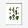 Houseplants Art Print – A4