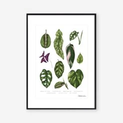 Houseplants Art Print – A4