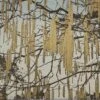 Catkins Limited Edition Screen Print