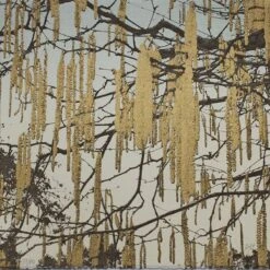 Catkins Limited Edition Screen Print