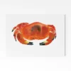 Crab A4 Art Print