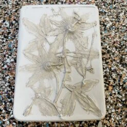 Botanical Plaque – Passion Flower 5 Botanical Plaque – Passion Flower -Household Decoration Shop Dotty Kate Floral Passion FLower 2