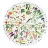 Eat Fresh – Fruit And Veg Seasonal Food Art Print