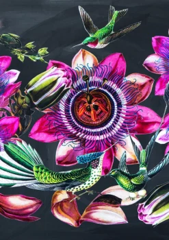 Hummingbirds Greeting Card