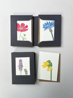 Flower Stems Little Notes Card Set – Boxed