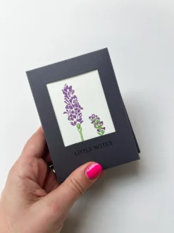 Flower Stems Little Notes Card Set – Boxed 7 Flower Stems Little Notes Card Set – Boxed -Household Decoration Shop IMG 0833