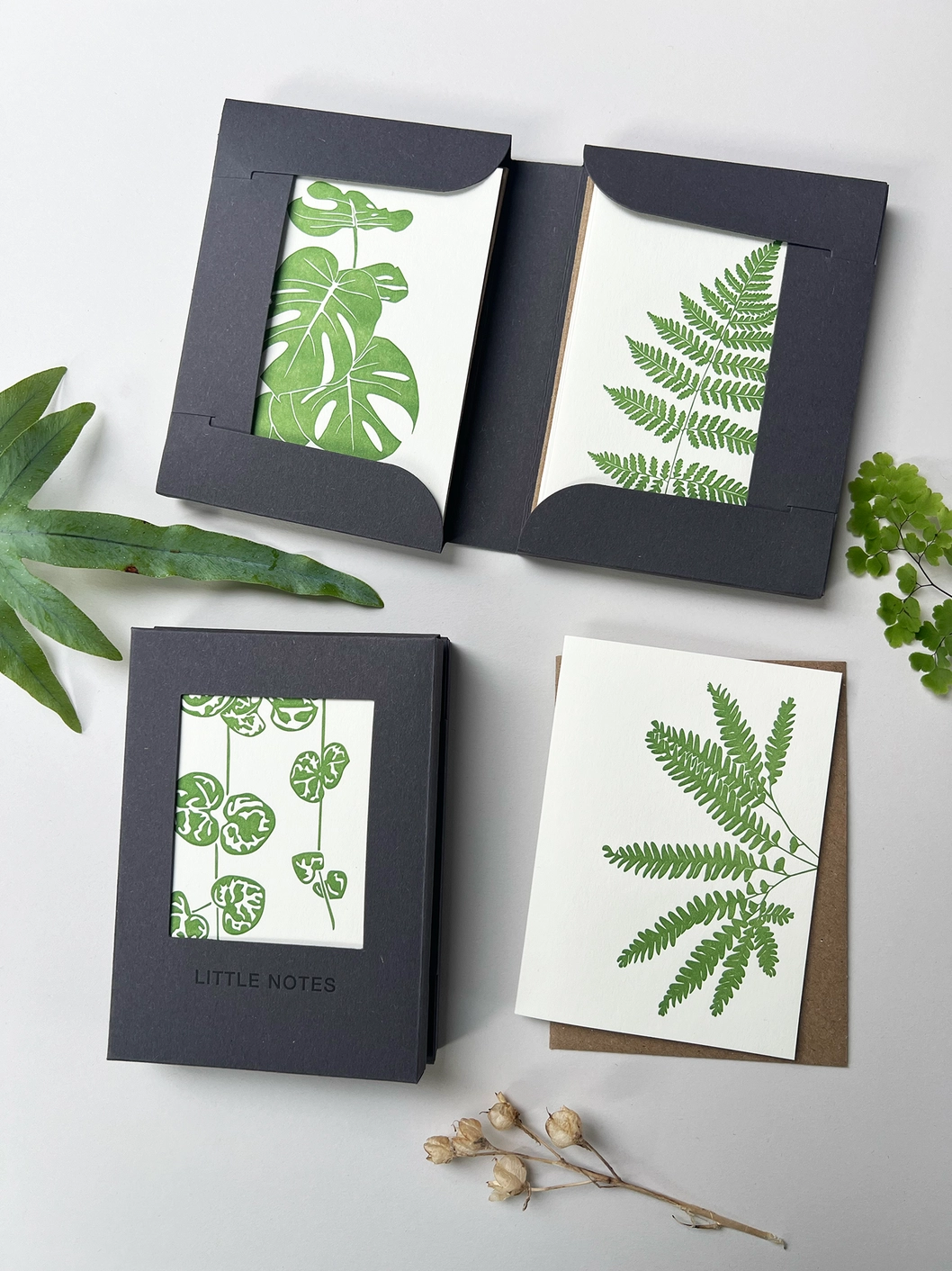 Foliage Little Notes Card Set – Boxed 1 Foliage Little Notes Card Set – Boxed