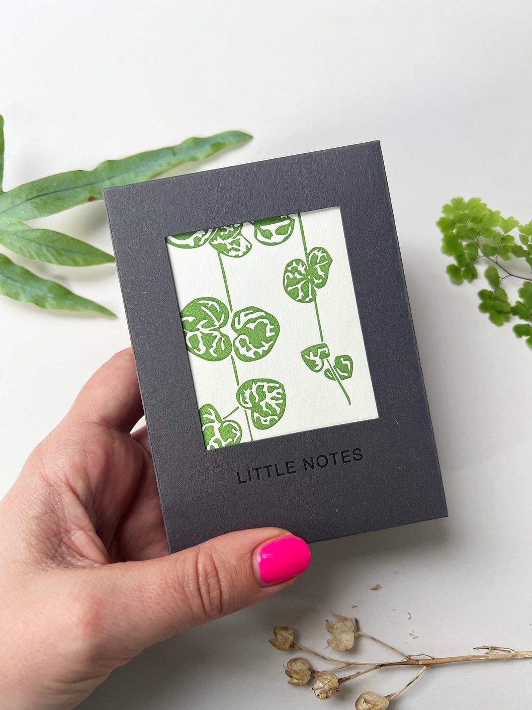 Foliage Little Notes Card Set – Boxed 3 Foliage Little Notes Card Set – Boxed - Image 3