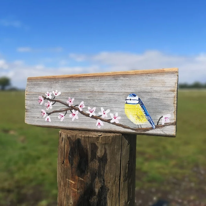 Blue Tit And Blossom