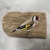 Reggie Goldfinch Painting