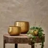 Atsu Brass Planter