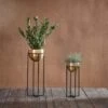 Atsu Brass Planter Stand