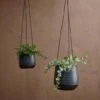 Mahika Hanging Planter