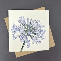 Agapanthus Card