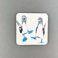 Blue Footed Boobies Coaster