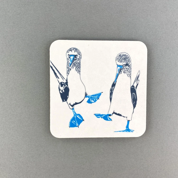 Blue Footed Boobies Coaster 1 Blue Footed Boobies Coaster