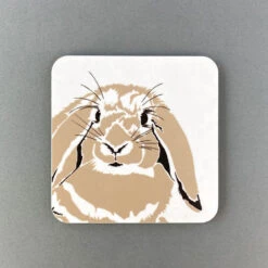 Rabbit Coaster