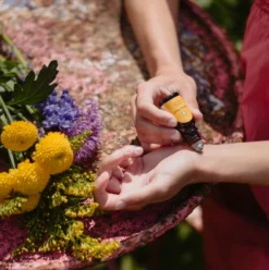 Pep Up Aromatherapy Roll On Set -Household Decoration Shop Pep UP pulse points pack clarity blends lifestyle