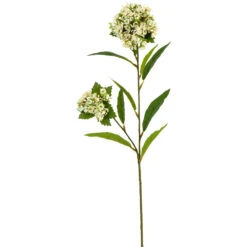 Queen Anne’s Lace – 75cm