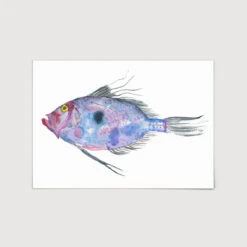 John Dory Art Print