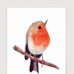 Robin Art Print