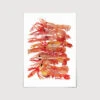 Langoustines Art Print