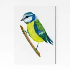 Blue Tit 2 A4 Art Print