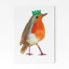 Party Robin A4 Art Print