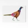 Pheasant 2 A4 Art Print