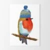 Robin In A Woolly Hat A4 Art Print