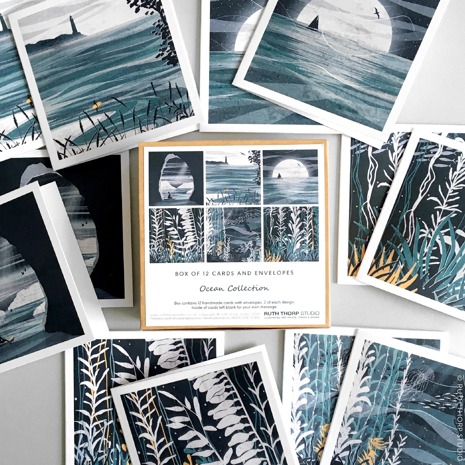 Ocean Collection Box Of 12 Cards And Envelopes