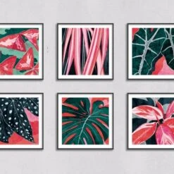 Spider Plant Art Print -Household Decoration Shop Ruth Thorp Flourish Collection Art Prints 1