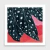 Polka Dot Begonia Art Print