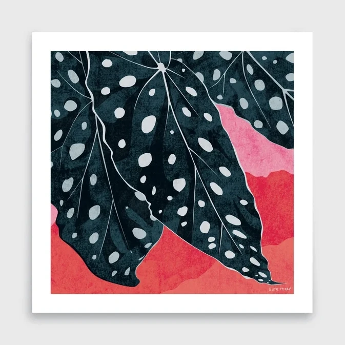 Polka Dot Begonia Art Print 1 Polka Dot Begonia Art Print