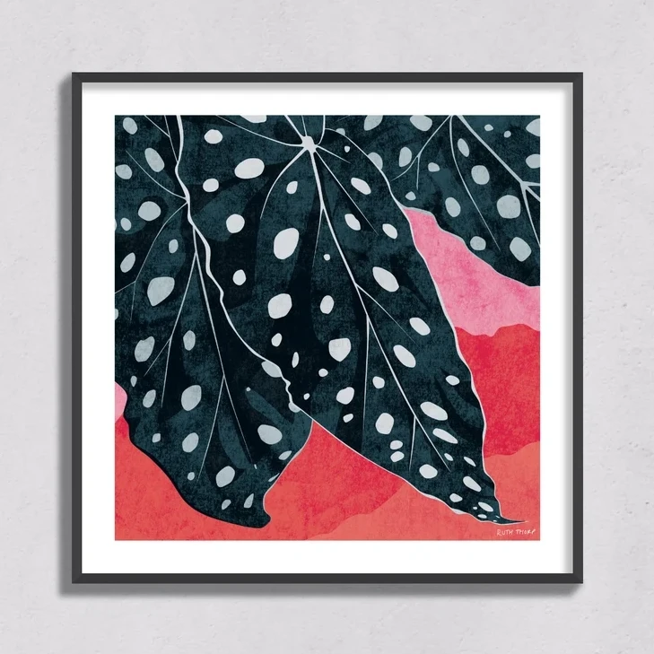 Polka Dot Begonia Art Print 2 Polka Dot Begonia Art Print - Image 2