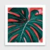 Swiss Cheese Plant Art Print