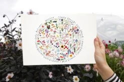 Seasonal Flowers A4 Art Print